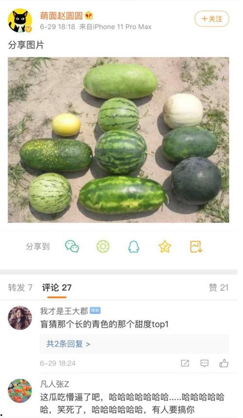 新瓜最新爆料全部,揭秘娱乐圈最新热点事件全貌